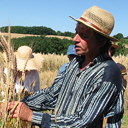Jean-François Berthellot